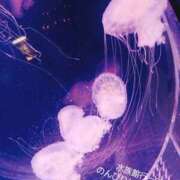 ヒメ日記 2025/02/14 19:07 投稿 めろ 奥様さくら日本橋店