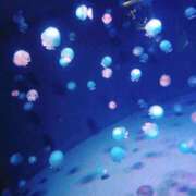 ヒメ日記 2025/02/20 14:33 投稿 めろ 奥様さくら日本橋店