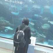 ヒメ日記 2025/04/25 16:59 投稿 めろ 奥様さくら日本橋店