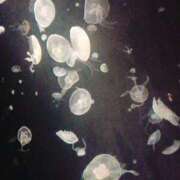 ヒメ日記 2025/05/02 14:36 投稿 めろ 奥様さくら日本橋店