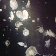 ヒメ日記 2025/05/09 15:07 投稿 めろ 奥様さくら日本橋店