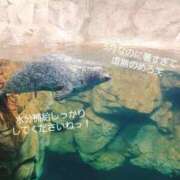 ヒメ日記 2025/05/20 12:56 投稿 めろ 奥様さくら日本橋店