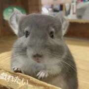 ヒメ日記 2025/06/29 13:13 投稿 めろ 奥様さくら日本橋店