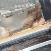 ヒメ日記 2025/10/13 16:24 投稿 めろ 奥様さくら日本橋店