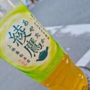 ヒメ日記 2025/11/10 14:56 投稿 めろ 奥様さくら日本橋店