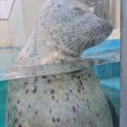 ヒメ日記 2025/11/21 11:57 投稿 めろ 奥様さくら日本橋店