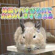 ヒメ日記 2024/12/31 11:36 投稿 さき 奥様さくら日本橋店