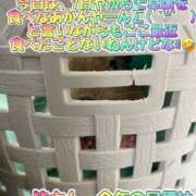 ヒメ日記 2025/01/08 14:48 投稿 さき 奥様さくら日本橋店