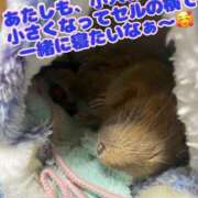 ヒメ日記 2025/01/09 11:09 投稿 さき 奥様さくら日本橋店