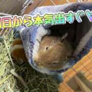 ヒメ日記 2025/01/13 11:06 投稿 さき 奥様さくら日本橋店