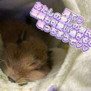 ヒメ日記 2025/02/04 16:00 投稿 さき 奥様さくら日本橋店