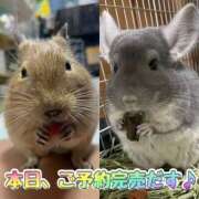 ヒメ日記 2025/02/10 15:57 投稿 さき 奥様さくら日本橋店