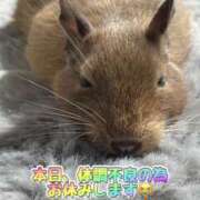 ヒメ日記 2025/02/24 11:06 投稿 さき 奥様さくら日本橋店