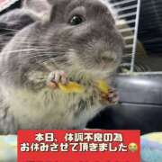 ヒメ日記 2025/03/05 10:56 投稿 さき 奥様さくら日本橋店