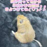 ヒメ日記 2025/03/11 13:26 投稿 さき 奥様さくら日本橋店