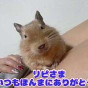 ヒメ日記 2025/03/16 12:16 投稿 さき 奥様さくら日本橋店