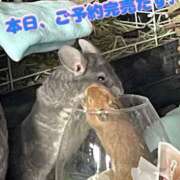 ヒメ日記 2025/03/29 16:46 投稿 さき 奥様さくら日本橋店