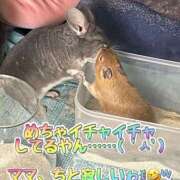 ヒメ日記 2025/04/05 13:58 投稿 さき 奥様さくら日本橋店