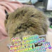 ヒメ日記 2025/04/05 20:29 投稿 さき 奥様さくら日本橋店