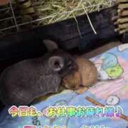 ヒメ日記 2025/05/28 14:39 投稿 さき 奥様さくら日本橋店