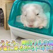 ヒメ日記 2025/06/07 17:38 投稿 さき 奥様さくら日本橋店