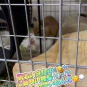 ヒメ日記 2025/06/13 15:17 投稿 さき 奥様さくら日本橋店