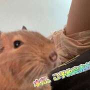 ヒメ日記 2025/07/02 14:59 投稿 さき 奥様さくら日本橋店