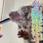 ヒメ日記 2025/07/13 13:27 投稿 さき 奥様さくら日本橋店