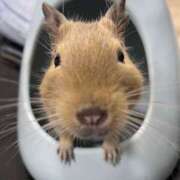 ヒメ日記 2025/07/30 18:06 投稿 さき 奥様さくら日本橋店