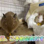 ヒメ日記 2025/08/17 15:36 投稿 さき 奥様さくら日本橋店