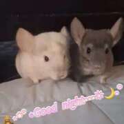 ヒメ日記 2025/09/05 18:20 投稿 さき 奥様さくら日本橋店