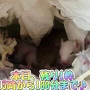 ヒメ日記 2025/09/09 17:24 投稿 さき 奥様さくら日本橋店