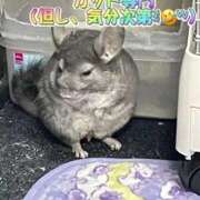 ヒメ日記 2025/09/21 13:27 投稿 さき 奥様さくら日本橋店