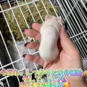 ヒメ日記 2025/09/24 16:06 投稿 さき 奥様さくら日本橋店