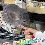 ヒメ日記 2025/09/26 13:36 投稿 さき 奥様さくら日本橋店