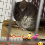 ヒメ日記 2025/10/10 11:51 投稿 さき 奥様さくら日本橋店