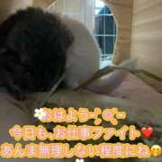 ヒメ日記 2025/10/10 17:58 投稿 さき 奥様さくら日本橋店