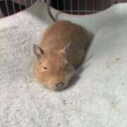 ヒメ日記 2025/10/30 14:00 投稿 さき 奥様さくら日本橋店