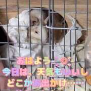 ヒメ日記 2025/11/02 17:56 投稿 さき 奥様さくら日本橋店