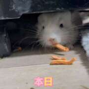 ヒメ日記 2025/11/22 13:06 投稿 さき 奥様さくら日本橋店