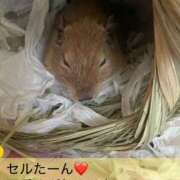 ヒメ日記 2026/01/08 10:06 投稿 さき 奥様さくら日本橋店