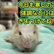 ヒメ日記 2026/02/04 10:06 投稿 さき 奥様さくら日本橋店