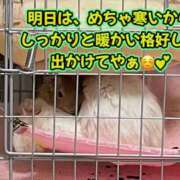 ヒメ日記 2026/02/07 21:59 投稿 さき 奥様さくら日本橋店