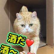 ヒメ日記 2026/08/31 10:00 投稿 さき 奥様さくら日本橋店