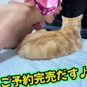 ヒメ日記 2026/09/08 09:50 投稿 さき 奥様さくら日本橋店