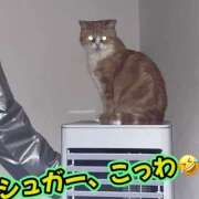 ヒメ日記 2026/09/11 10:01 投稿 さき 奥様さくら日本橋店