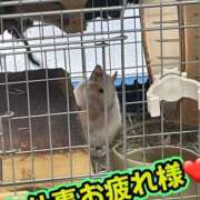 ヒメ日記 2026/09/13 22:30 投稿 さき 奥様さくら日本橋店