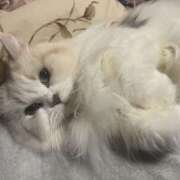 ヒメ日記 2025/01/10 22:57 投稿 ひとみ 奥様さくら日本橋店