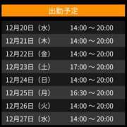 ヒメ日記 2023/12/20 17:49 投稿 もな 奥様さくら日本橋店