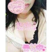 ヒメ日記 2025/02/06 14:06 投稿 めいさ 奥様さくら日本橋店